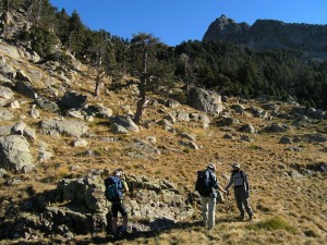 Grassy clearing|sunny spell in the valley of Piedres Albes (2.250 m)